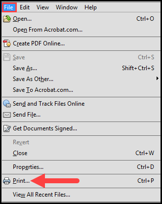 sample report results pdf with file option outlined and arrow pointing to print option